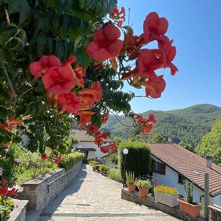 La Casa Di Gloria - Residence Affitta Camere Badia Prataglia Dış mekan fotoğraf