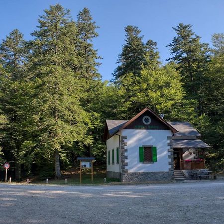 La Casa Di Gloria - Residence Affitta Camere Badia Prataglia Dış mekan fotoğraf